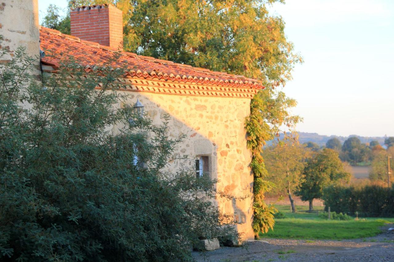 Les Chambres D'Hotes De La Metairie Du Bourg Ле-Эрбье Экстерьер фото